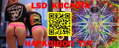 бошки Кингисепп