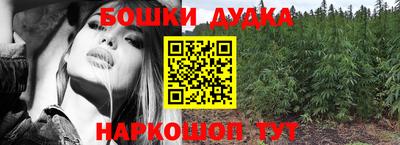 бошки Кингисепп