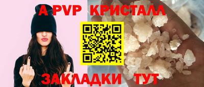 бошки Кингисепп