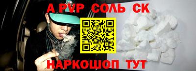 бошки Кингисепп
