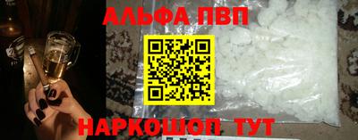 бошки Кингисепп
