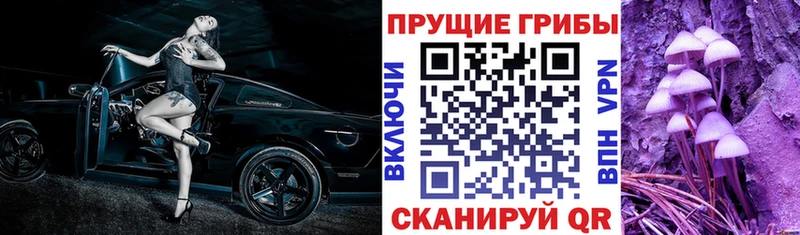 маркетплейс телеграм  где найти наркотики  Ейск  Галлюциногенные грибы Psilocybe 