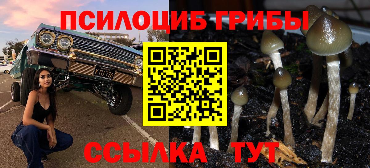 Галлюциногенные грибы Magic Shrooms  Вход с VPN  как найти закладки  Ейск 